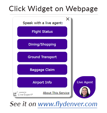 video chat customer service widget